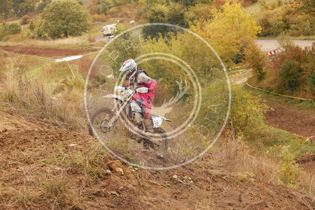 IgeLauf4-597 | koppe-media