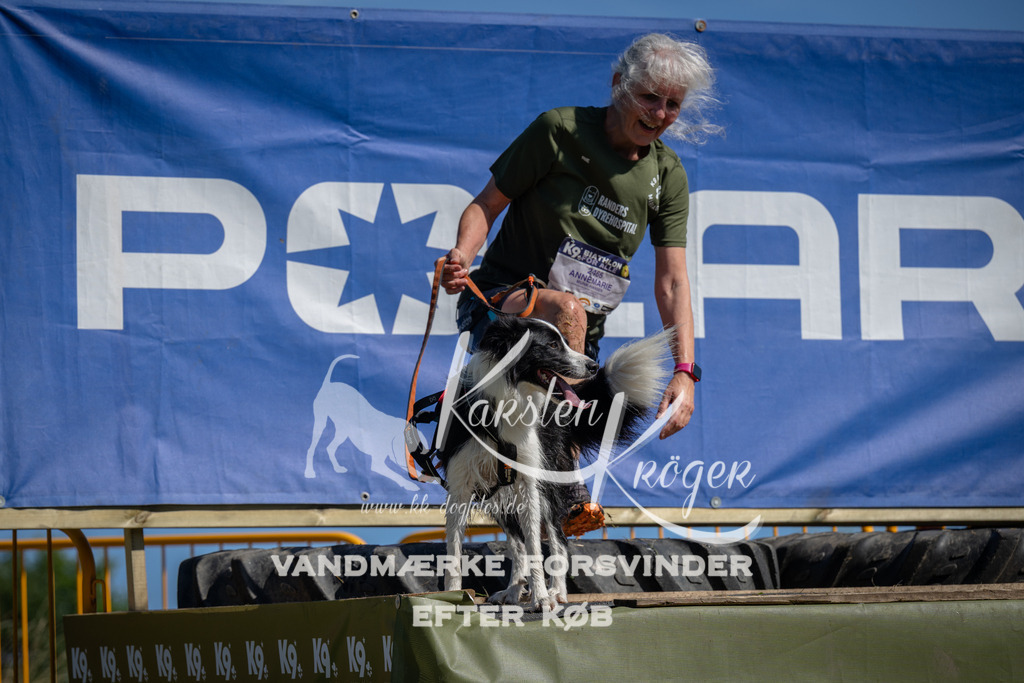 1117_ZZ91082 | kk-dogfotos