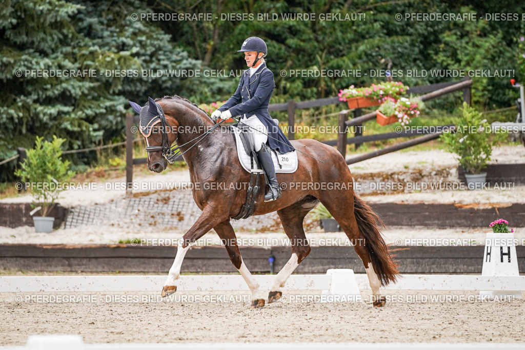 DSC07769 | Pferdegrafie