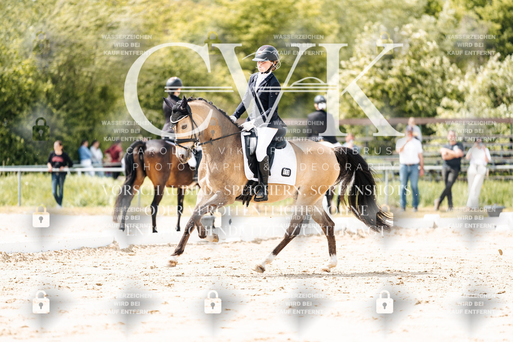 CK901831 | Turnierfotografie Pferdefotografie Trier Rheinland-Pfalz Pferdesport Reitsport Tierfotografie Sportfotografie Pferdevideo Pferdevideografie Equestrianvideography equestrianphotography  - Realisiert mit Pictrs.com
