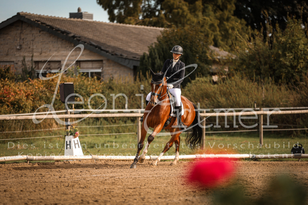 17.SoDrM00193 | Leoni Ertmer Photography - Realisiert mit Pictrs.com