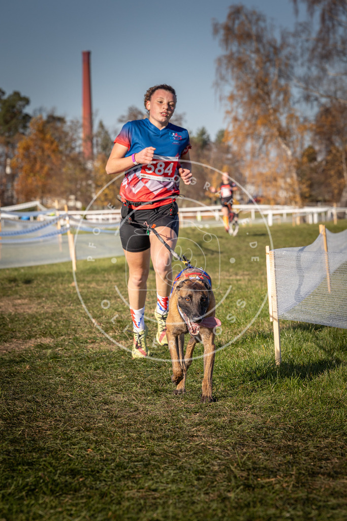 CaniXpix_0L8A8294 | Hundefotografie, Tierfotograf, Pfotenfotografie, Fotoshooting Hund, Hunde Portrait, Hundesport, Hundeportraits, Heideshooting, Hunde, Sportfotograf, Hundefotograf, Turnierhundsport, THS,  - Realisiert mit Pictrs.com