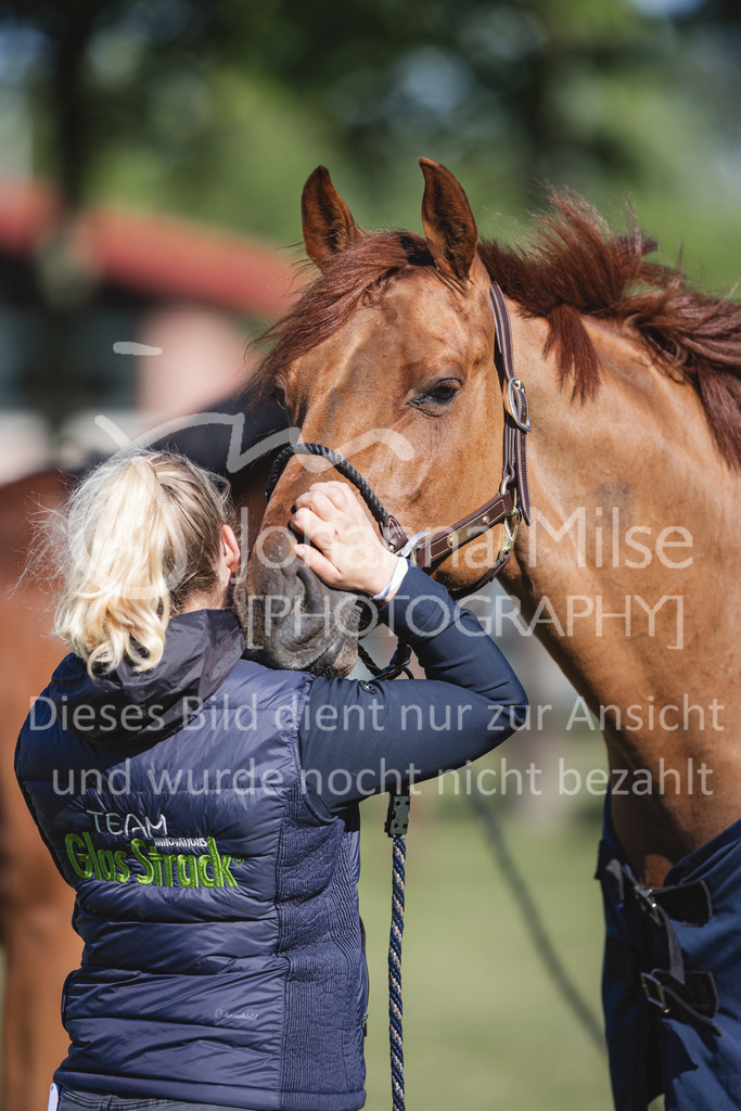 220603_CSI-Wohlde_Chillen-23 | Oerlinghausen Währentrup 26.08.2021, Stilspringprüfung Kl.A*
