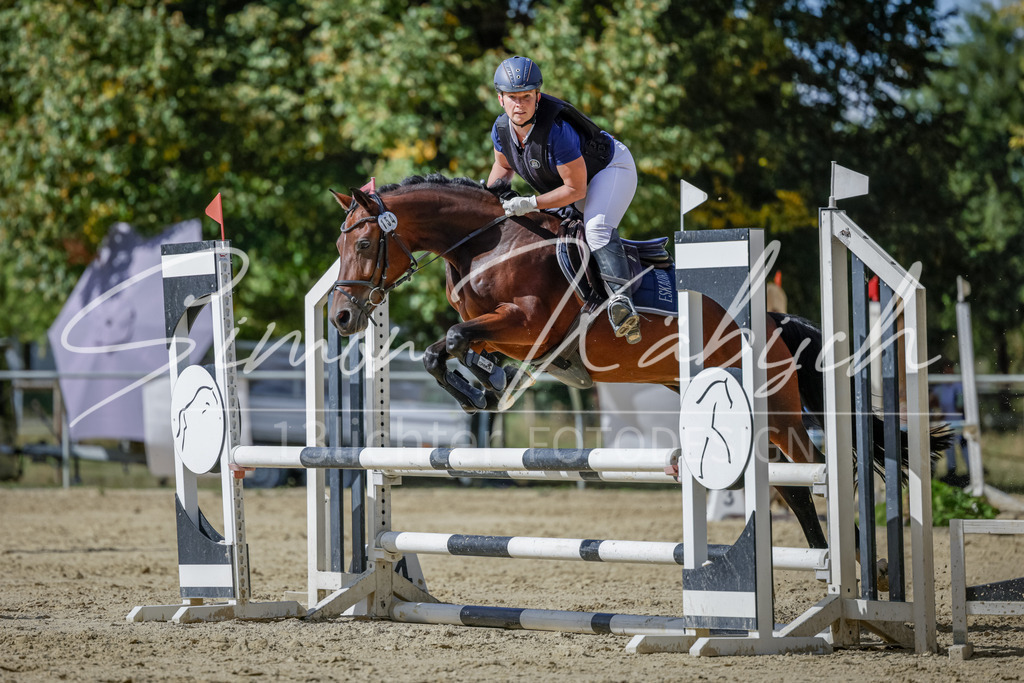 20250906-_3LI6518 | Tierfotografie Pferde, Hunde, Katzen, Haustiere.
Turnierfotografie Reitturniere, Reiten, Springreiten, Dressur in Hanau, dem Main-Kinzig-Kreis und dem Rhein-Main- Gebiet um Frankfurt