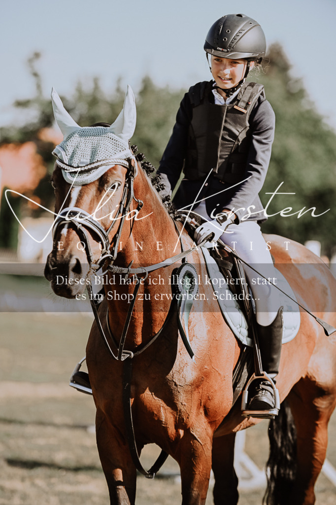 DSC_9529 | Pferde- und Turnierfotografie in Westsachsen. Pferdeportraits, Auftragszeichnungen und intuitive Kunst.