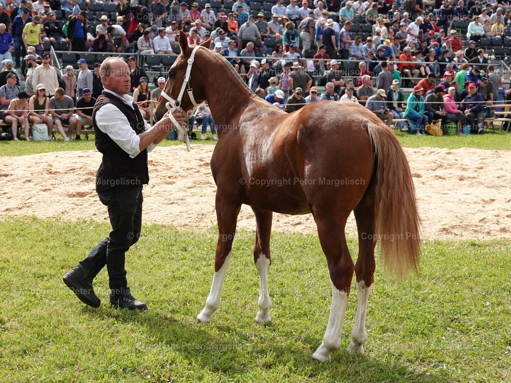 DSC06727 | Schwingen - Realisiert mit Pictrs.com