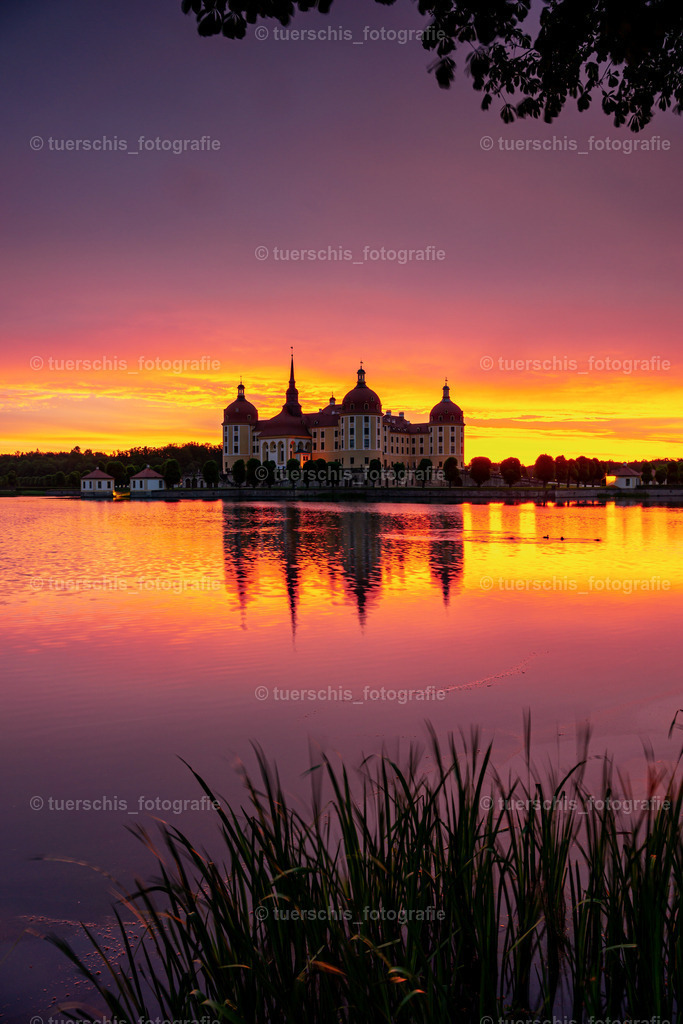 _DSC8719-2 | tuerschis_fotografie - Realisiert mit Pictrs.com