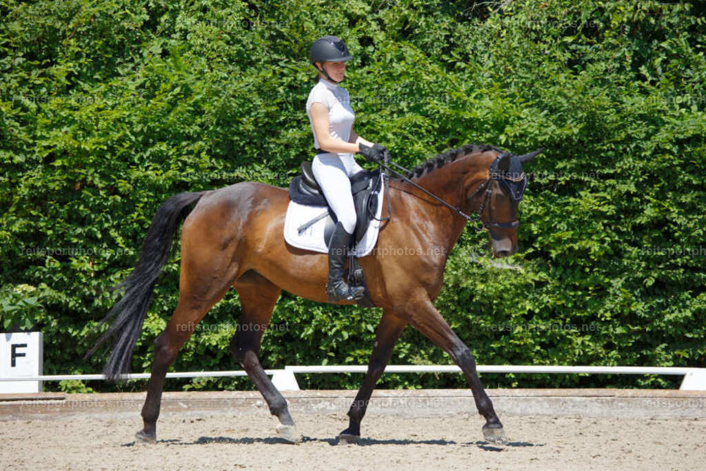 JHE_3689 | JoYa Fotografie - Realisiert mit Pictrs.com