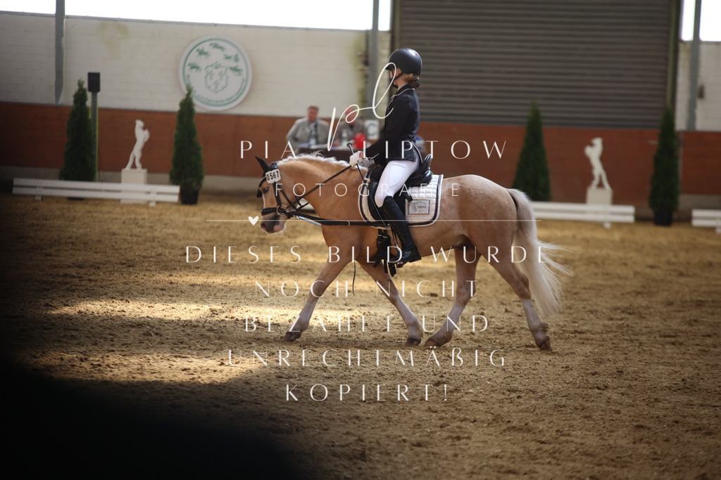 IMGT0658 | pl-fotografie