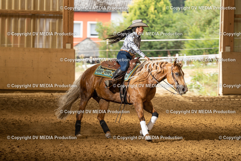 LAU01526 | dv-media-shop - Realisiert mit Pictrs.com