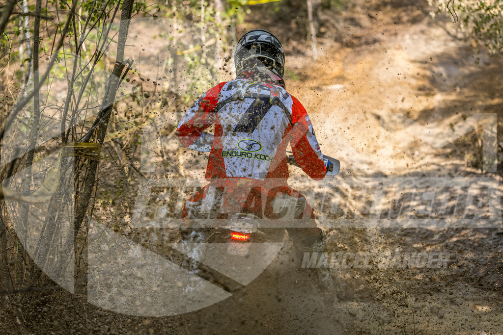 FAM_6131 | fullactionmedia-shop