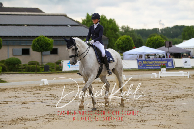 DKP40056 | Turniersportfotografie; Pferdefotografie; Dressurfotografie