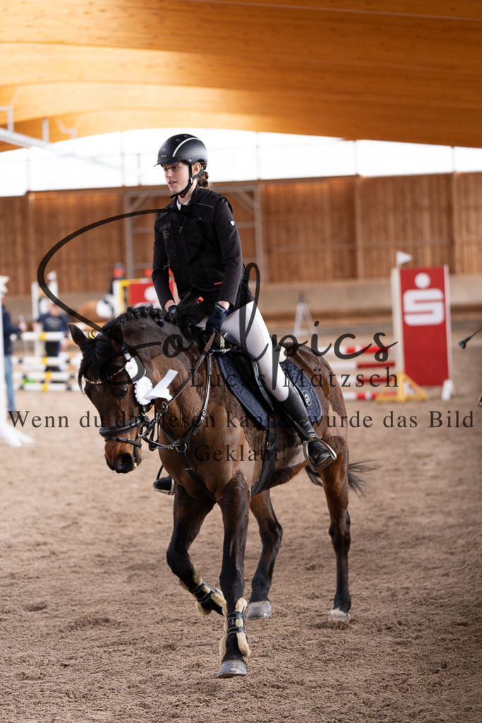 A7507634 | Pferdefotograf