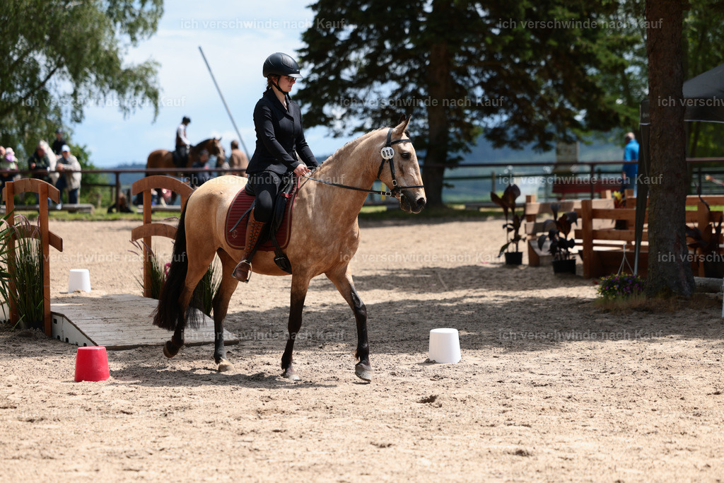 KlasseE_Stoibphotography_CAM22438.JPG | working equitationturnier fotograf videograf stoibphotography marixx film working equitation deutschland reitsport turnierfotografie eventfotografie equestrian events