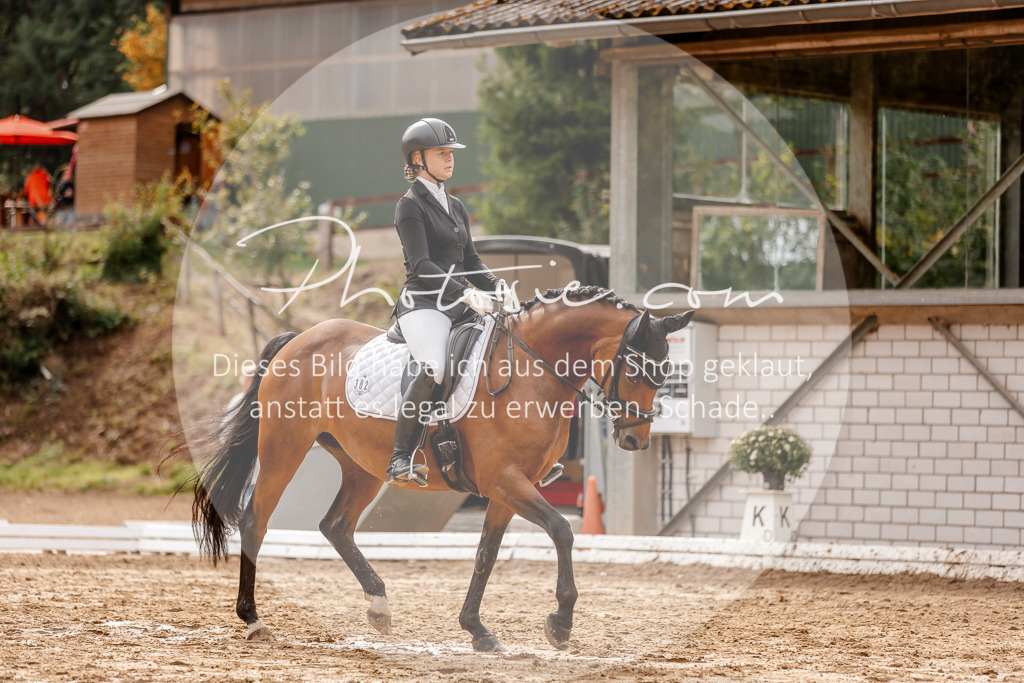 3I6A7428 | Stimmungsvolle Portraits und Reitsportfotografie im Ruhrgebiet und im Münsterland.

Pferdefotografie, Hundefotografie, Tierfotografie, Reportagen, Portraits von Tier und Mensch, Turnierfotografie in Bochum, Recklinghausen, Marl, Haltern am See, Dülmen.. - Realisiert mit Pictrs.com