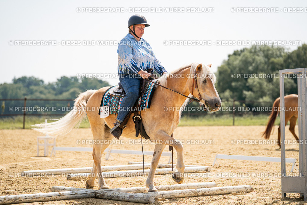 DSC09815 | Pferdegrafie