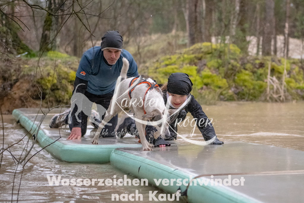 1059_ZZ93976-Bearbeitet | kk-dogfotos