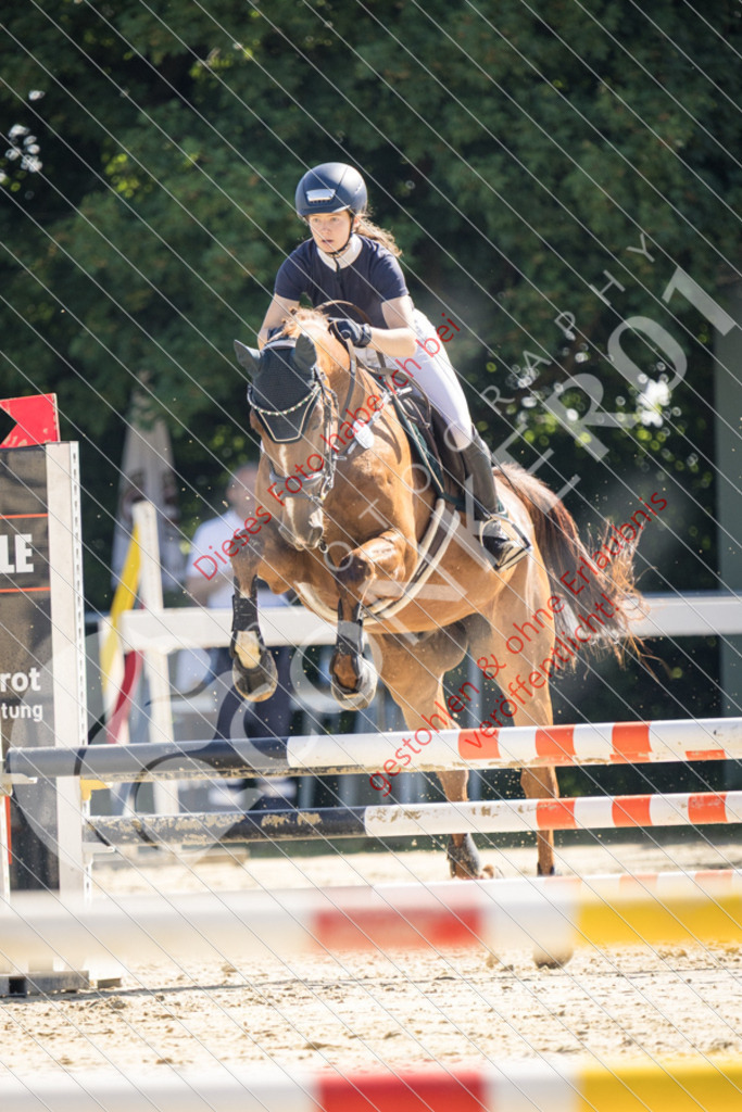 IMG_2846 | Sport-, Event- und Tierfotos in Profiqualität. Einfach auswählen, bestellen und herunterladen. Dein Moment – perfekt festgehalten.