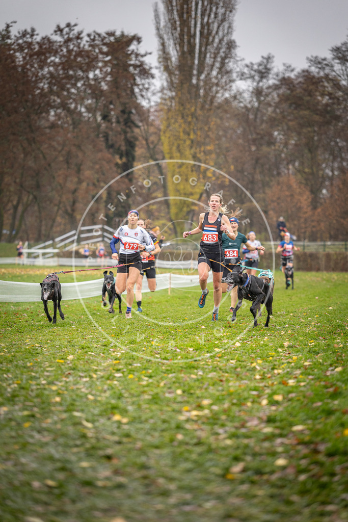 CaniXpix_DV3A8975 | Hundefotografie, Tierfotograf, Pfotenfotografie, Fotoshooting Hund, Hunde Portrait, Hundesport, Hundeportraits, Heideshooting, Hunde, Sportfotograf, Hundefotograf, Turnierhundsport, THS,  - Realisiert mit Pictrs.com