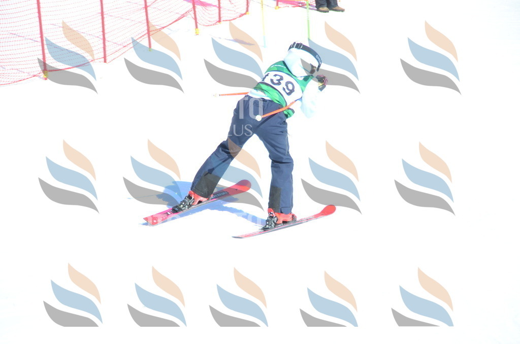 C6031 | holidayphoto