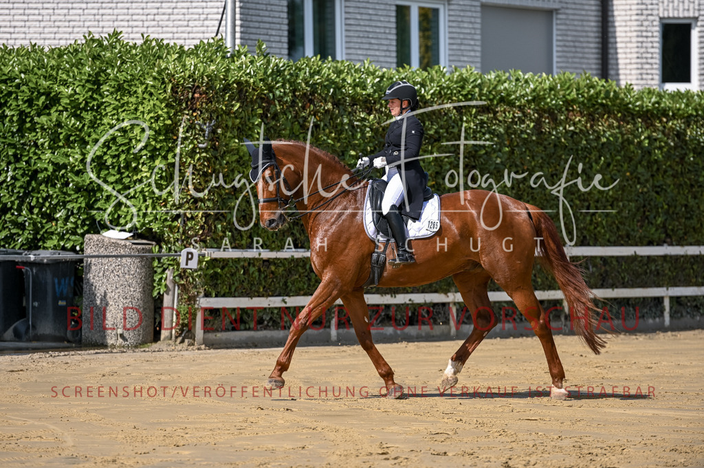 Schugtsche-Aluta25-58. Dressurprf.S1Kand.St.GeorgSpecial-208 | Schugtsche Fotografie - Realisiert mit Pictrs.com