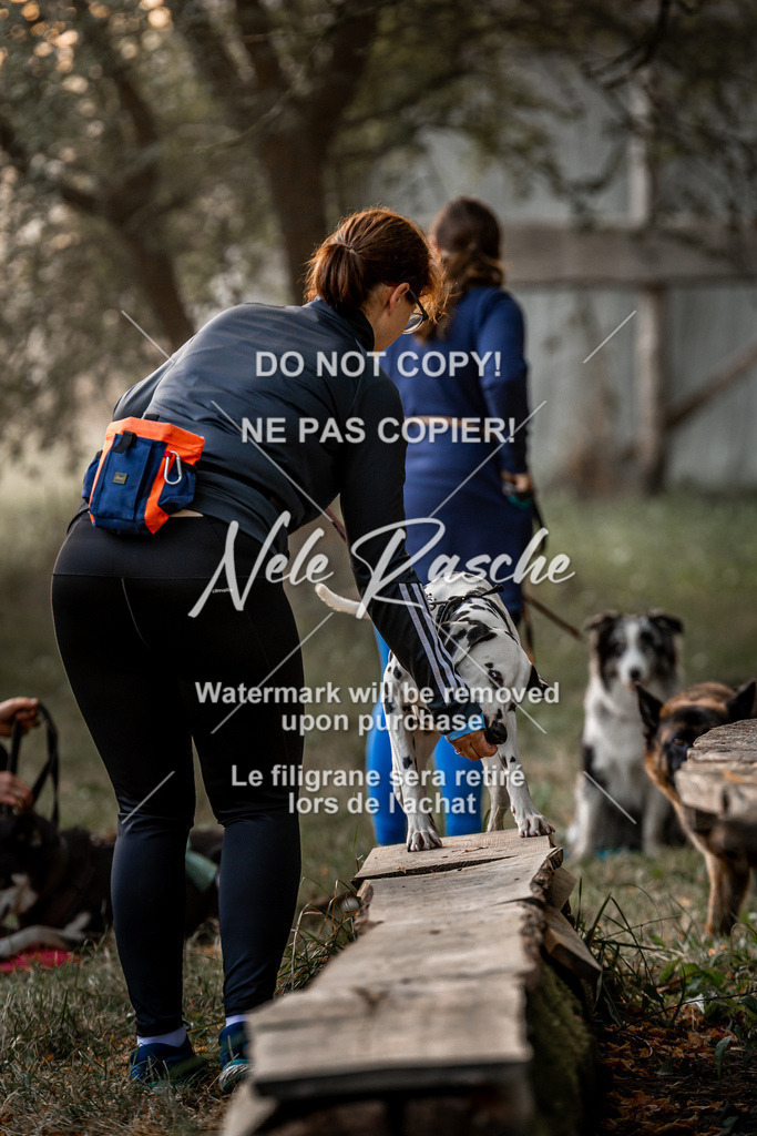 nelerasche_slaw24Sa_33 | nelerasche
