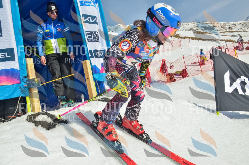 _ELE5114 | holidayphoto