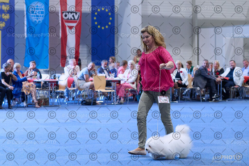 202406_ÖKV-IHA-Tulln24_DSC_4194 | proPHOTO - Realisiert mit Pictrs.com