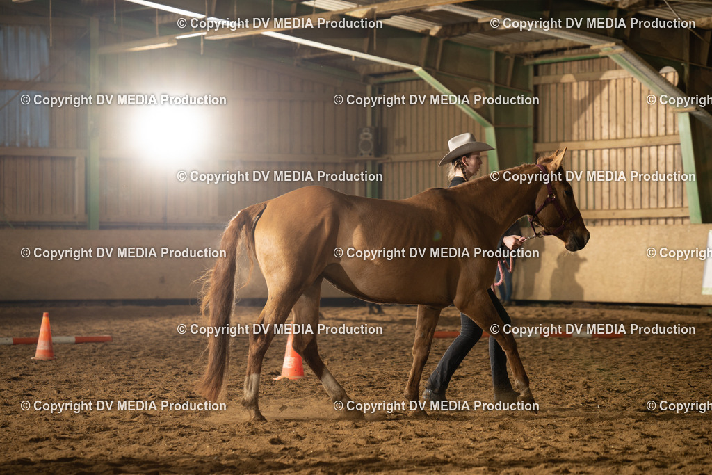 BAL01212 | dv-media-shop - Realisiert mit Pictrs.com