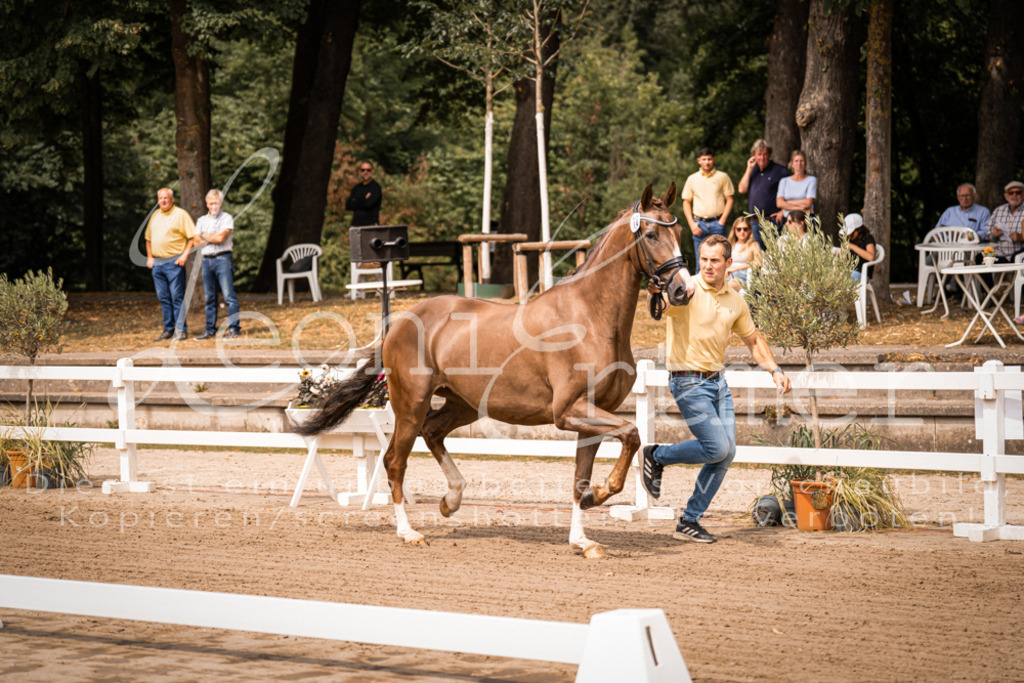 4.Fr00037 | Leoni Ertmer Photography - Realisiert mit Pictrs.com