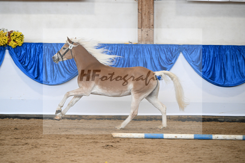 Bl. Band Kat-Nr. 6 Najen v. Sternzauber_Sturm_48251341 | hf-fotografie - Realisiert mit Pictrs.com