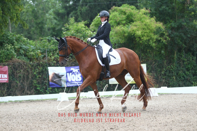 DKP40104 | Turniersportfotografie; Pferdefotografie; Dressurfotografie