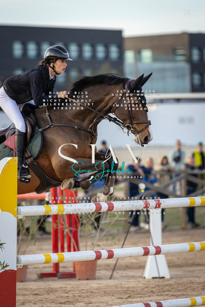 IMG_0687 | s-jay-photography - Realisiert mit Pictrs.com