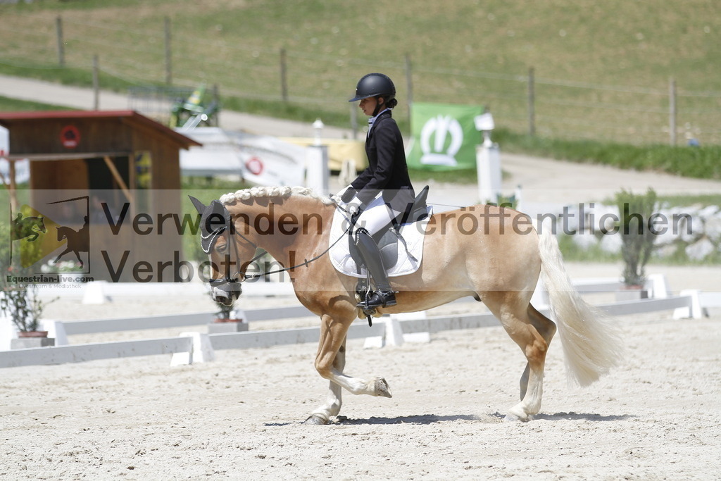 _MG_5032 | equestrian-live-com