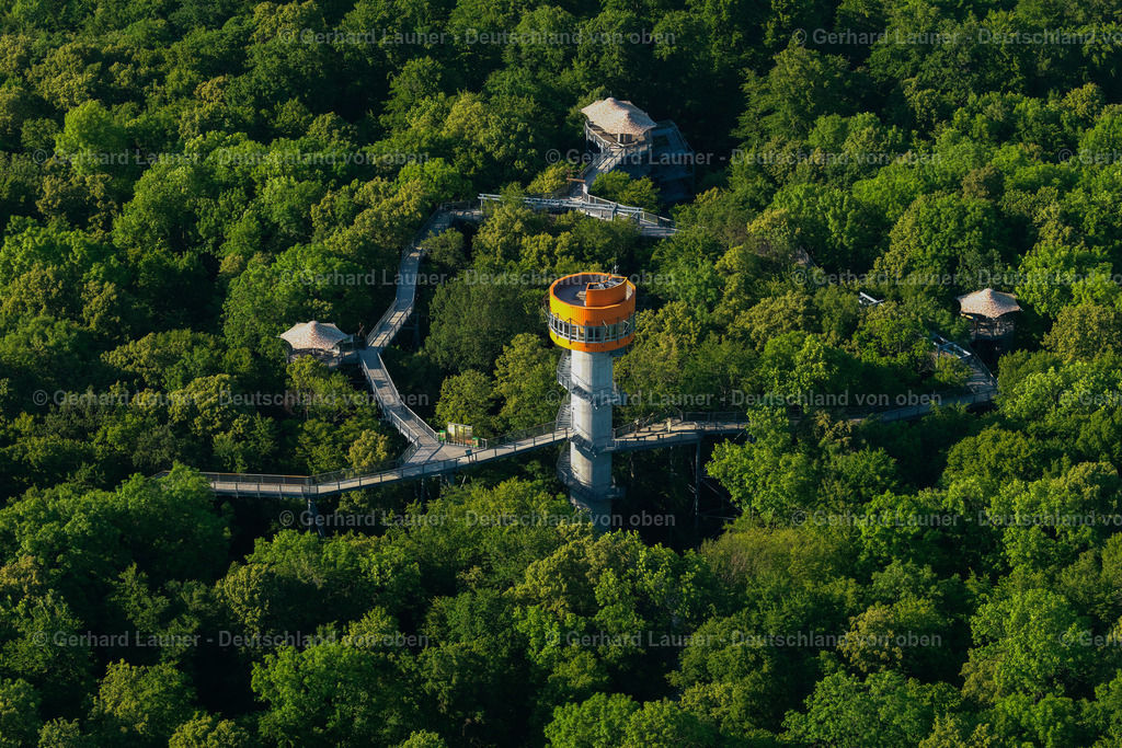 3204404 | Baumkronenpfad Hainich Nationalpark
