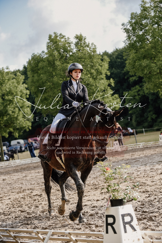 DSC_8634 | Pferde- und Turnierfotografie in Westsachsen. Pferdeportraits, Auftragszeichnungen und intuitive Kunst.