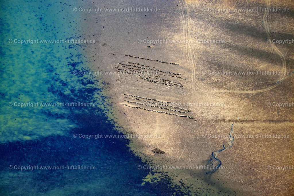 Sylt_List_Wattenmeer_Austernzucht_Netze_Sylter_Royal_Dittmeyers_Austern_Companie_ELS_4024130825 | LIST 13.08.2025 Wattenmeer der Nordsee- Küste mit Austern-Zucht-Bänken "Sylter Royal" in List im Bundesland Schleswig-Holstein, Deutschland. Weiterführende Informationen bei: Dittmeyer's Austern-Compagnie GmbH. // Wadden Sea of the North Sea coast with oyster breeding banks "Sylter Royal" in List in the federal state of Schleswig-Holstein, Germany. Further information at: Dittmeyer's Austern-Compagnie GmbH. Foto: Martin Elsen