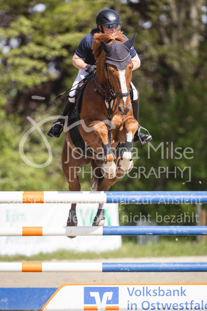 260503_Spenge_7_M2-Spr-m-steig-Anf-750 | Deine schönsten Turniermomente als professionelle Fotos! Entdecke hochwertige Pferdesport-Fotografie im Online-Shop. Jetzt Fotos finden & bestellen!