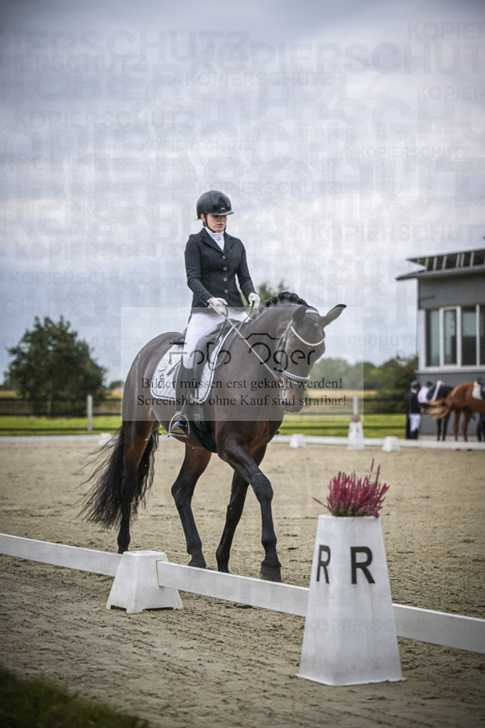 DOS_0721 | Entdecke hochwertige Reitturnierfotos von Foto Oger. Professionell, emotional und authentisch – jetzt Lieblingsmomente im Shop bestellen.Deutschlandweite Turnierfotografie. - Realisiert mit Pictrs.com