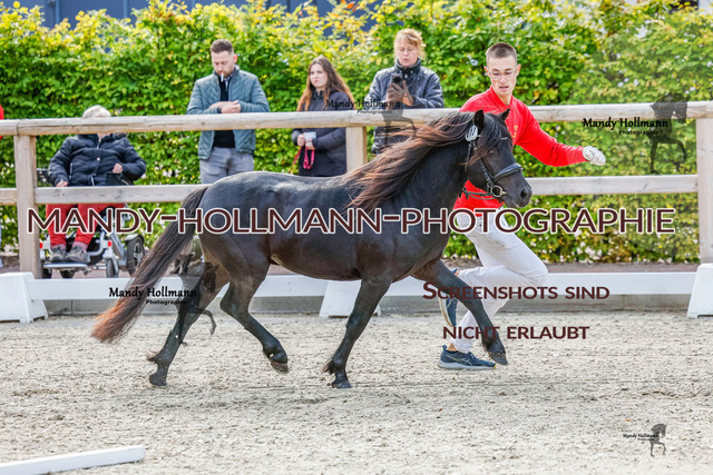 GK (42 von 759) | mandyhollmannphotographie