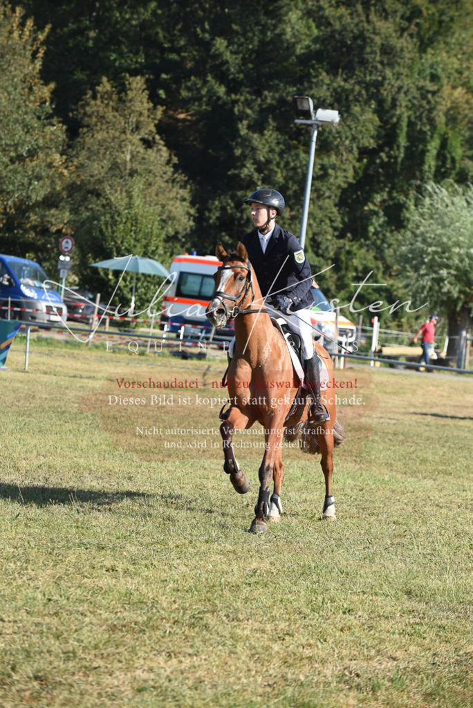 DSC_5243 | Pferde- und Turnierfotografie in Westsachsen. Pferdeportraits, Auftragszeichnungen und intuitive Kunst.