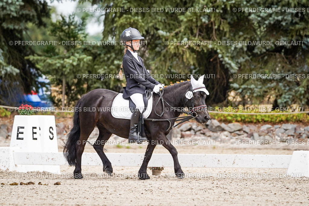 DSC02852 | Pferdegrafie