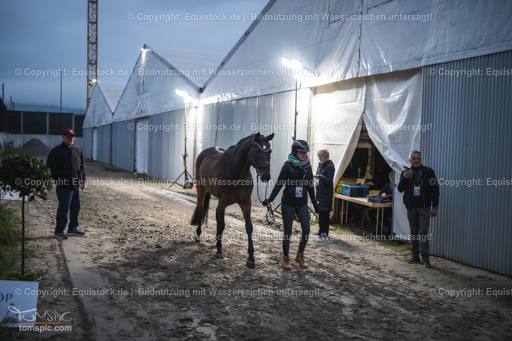 WEB_20241114_Vetcheck_TOMsPiC_0018 | Foto: Thomas Hartig