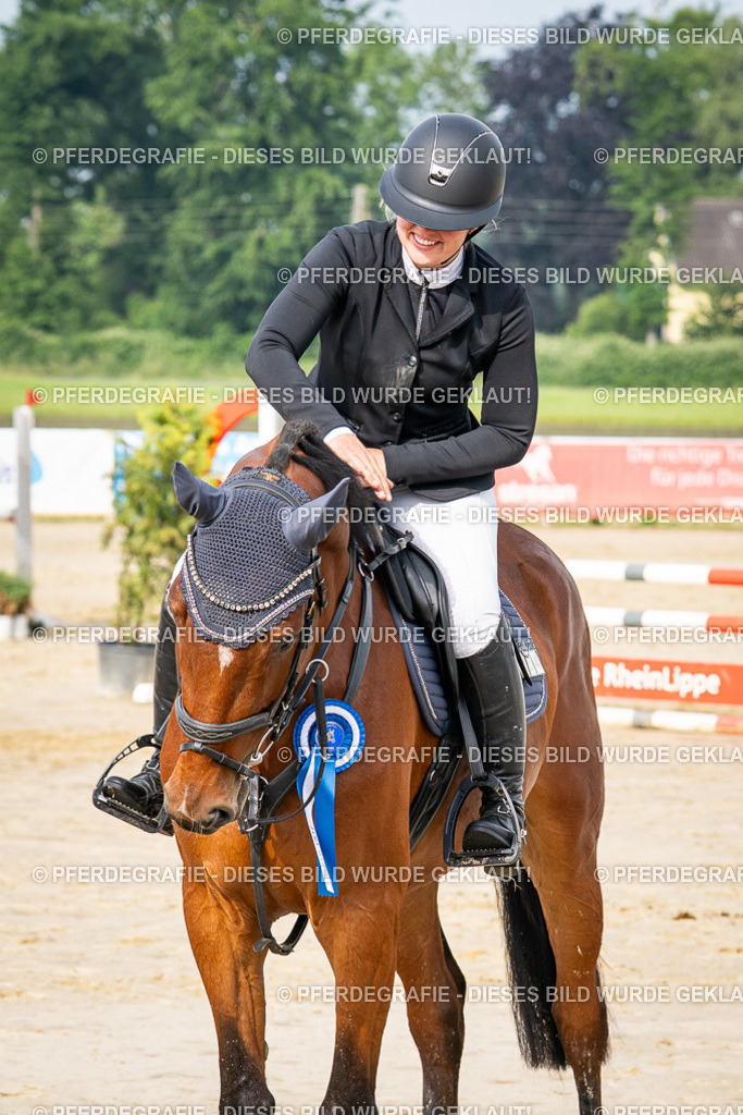 DSC09135 | Pferdegrafie