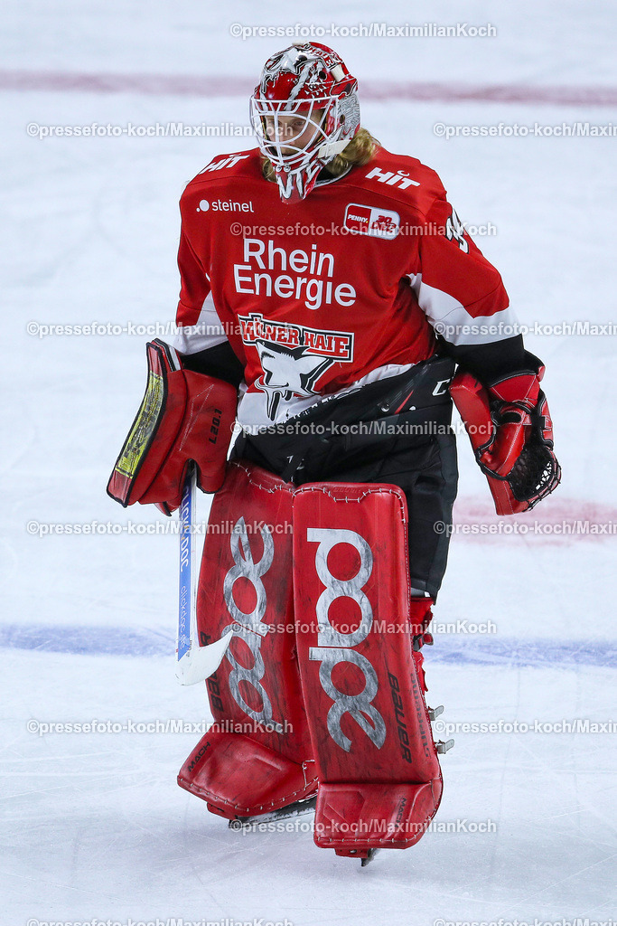 KoeDEL08032402124 | 08.03.2024, Köln, Eishockey, Penny DEL, 52. Spieltag, Lanxess-Arena, Kölner Haie - Adler Mannheim: Torhüter Mirko Pantkowski (Kölner Haie)