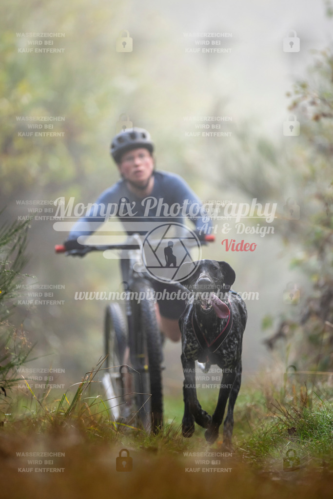 MompixPhotography_20TSB_E4_DS1-21 | PayLife