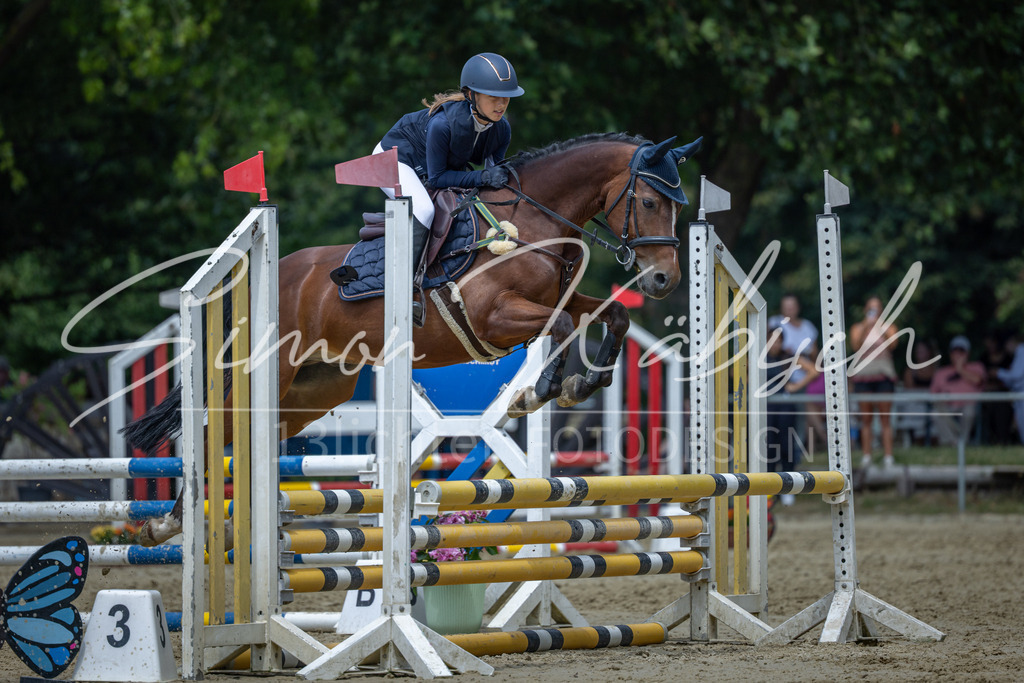 20260704-_3LI8966 | Tierfotografie Pferde, Hunde, Katzen, Haustiere.
Turnierfotografie Reitturniere, Reiten, Springreiten, Dressur in Hanau, dem Main-Kinzig-Kreis und dem Rhein-Main- Gebiet um Frankfurt