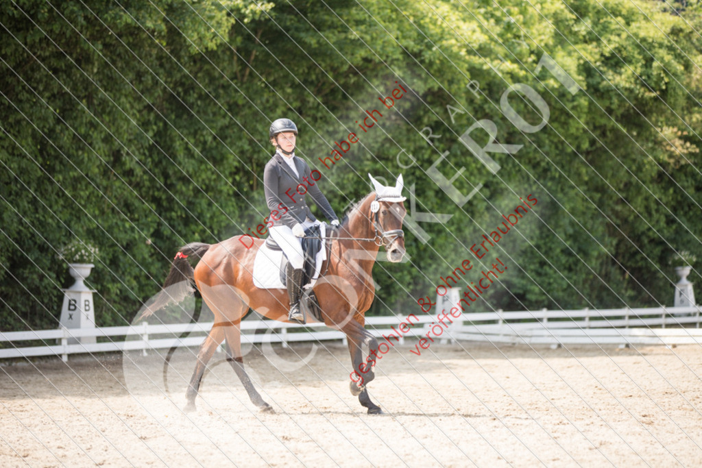 IMG_3612 | Sport-, Event- und Tierfotos in Profiqualität. Einfach auswählen, bestellen und herunterladen. Dein Moment – perfekt festgehalten.