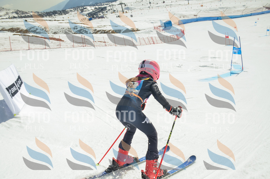 _ELE4903 | holidayphoto