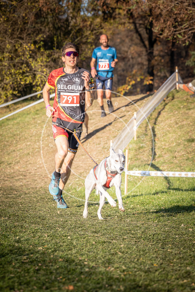 CaniXpix_0L8A0259 | Hundefotografie, Tierfotograf, Pfotenfotografie, Fotoshooting Hund, Hunde Portrait, Hundesport, Hundeportraits, Heideshooting, Hunde, Sportfotograf, Hundefotograf, Turnierhundsport, THS,  - Realisiert mit Pictrs.com